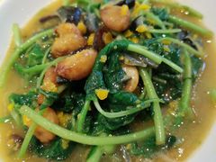 -莆田餐厅PUTIEN(三里屯店)