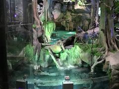 -福州罗源湾海洋世界旅游区