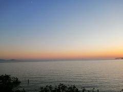 -贡湖湾湿地公园