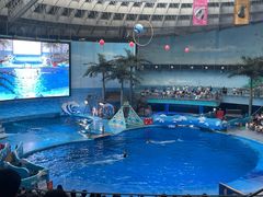 -海合安成都极地海洋公园
