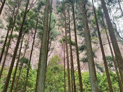 -雁荡山风景名胜区