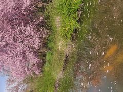 -南湾湖