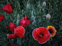 -南京市无想山景区
