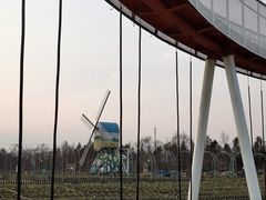 -荷兰花海
