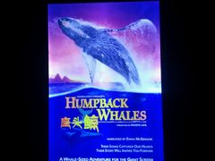 -中国科学技术馆影院