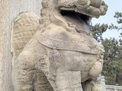 -北陵公园
