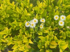 -杭州城北体育公园