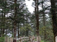 -西岭雪山大飞水景区