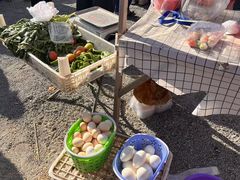 -辛庄国际文化艺术区