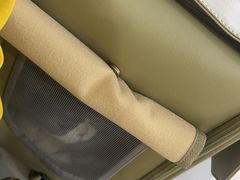 -美联众合动物医院·24h转诊中心