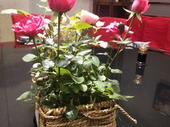 -梁溪河畔·吉府花园(南长街南下塘店)