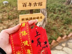 -开元盛世广场(新华北路店)