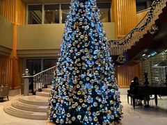 -上海明天广场JW万豪酒店