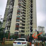 小厨陈与茶