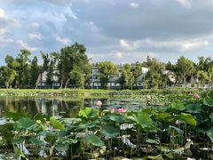 -长春市南湖公园