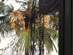 iphone_upload_pic-美丽心情蛋糕(江苏路店)