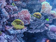 -太平洋海底世界