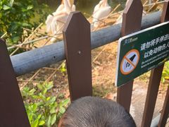 -深圳野生动物园
