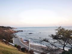 -青岛海景花园大酒店