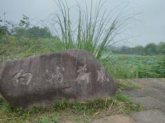 -杏花村文化旅游区
