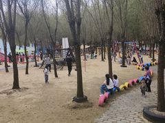 -西部长青自然儿童乐园