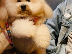 -JUJU韩式烤肉·干杯小酒馆