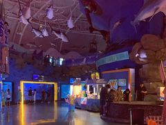 -烟台海昌鲸鲨海洋公园