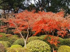 -西郊宾馆·1921餐厅