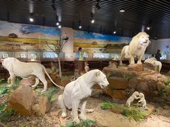 -陕西自然博物馆