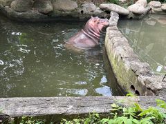 -宁波野生动物园