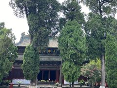 -报恩寺(平武县)