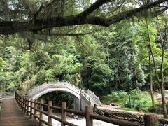 -广州市石门国家森林公园