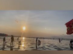 -红树林天天赶海