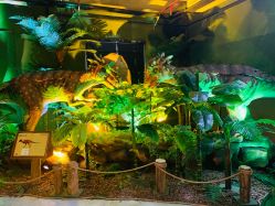 -恐龙探索乐园(磁器口店)