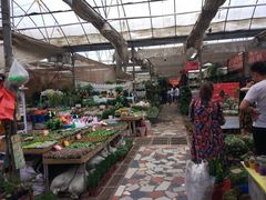 -秦美花卉(天朗·莱茵小城2期店)
