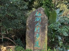-深圳仙湖植物园