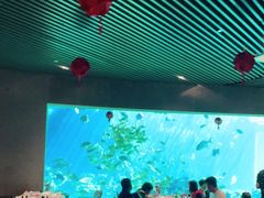 大堂-海棠湾洲际-涛·海底餐厅·美人鱼·自助餐·海底隧道