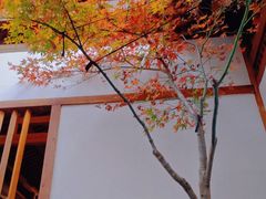 -唐风温泉