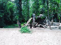 -清迈夜间动物园