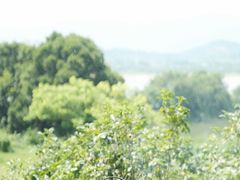 -福建鲤鱼洲酒店