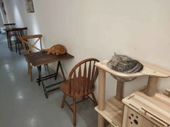 -猫友咖啡店(玉林西路店)