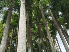 -竹子林(地铁站)