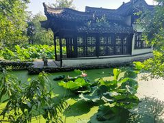 -盆景园(扬州大运河文化旅游度假区)