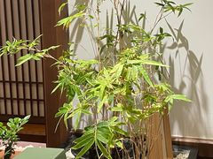 -无味舒食(思南公馆店)