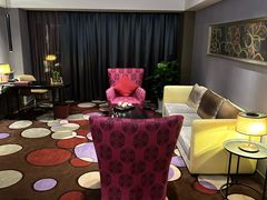 -南京禄口机场雅高铂尔曼大酒店