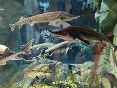 -波塞冬旅游度假区