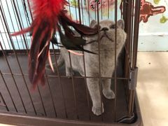 -iF摄影•全家福•证件照•形象照(南山店)