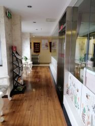 -大美臻喜母婴(重庆创始店)