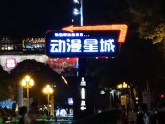 -芳叔(动漫星城店)