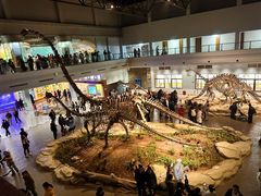 -自贡恐龙博物馆